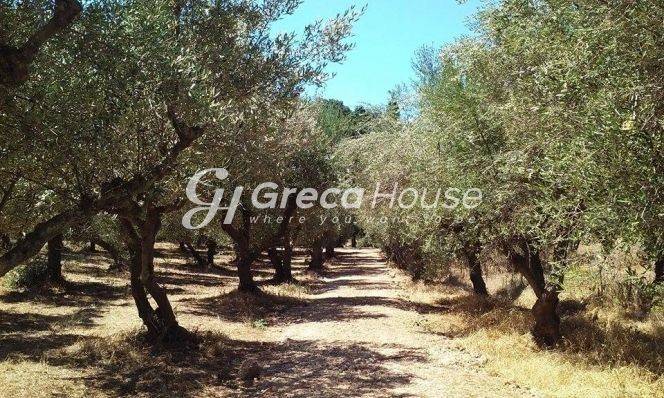 Sales of plots and plots of land in Epidaurus