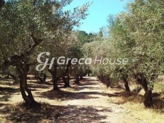 Sales of plots and plots of land in Epidaurus