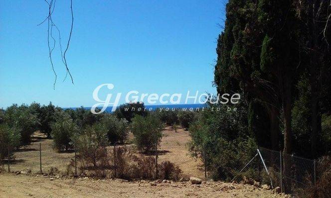 Sales of plots and plots of land in Epidaurus