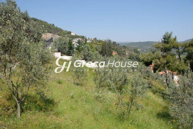 Plot for sale Epidauros