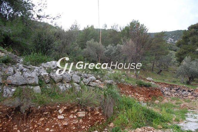 Plot for sale Epidauros