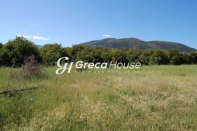 Plot for sale Epidauros