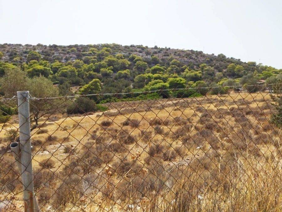 Εξωτερικοι χώροι