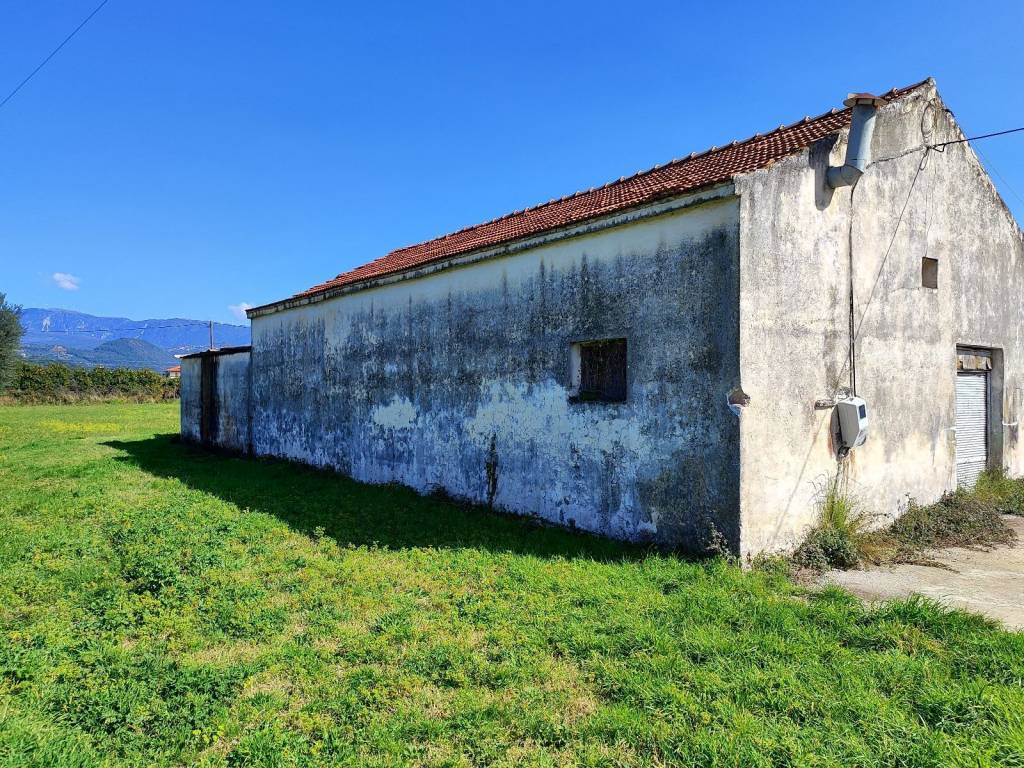 O EPAGGELMATIKOS CHOROS PROSPHERETAI GIA POLLES CHRESEIS