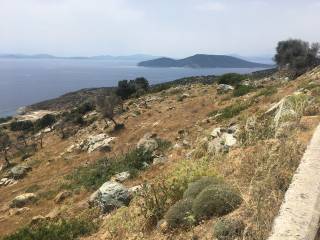 ΔΥΤΙΚΗ ΘΕΑ ΠΡΟΣ ΝΟΤΙΟ ΕΥΒΟΙΚΟ