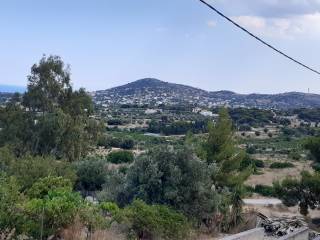 ΝΟΤΙΟΑΝΑΤΟΛΙΚΗ ΘΕΑ