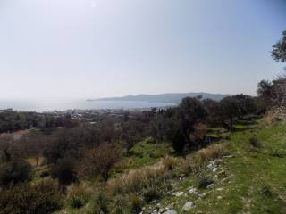 ΧΩΡΟΣ ΟΙΚΟΠΕΔΟΥ, ΑΝΩ ΤΜΗΜΑ