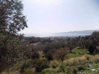 ΧΩΡΟΣ ΟΙΚΟΠΕΔΟΥ ΝΟΤΙΟΔΥΤΙΚΗ ΘΕΑ