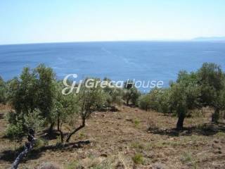 Plot for sale in Pileon