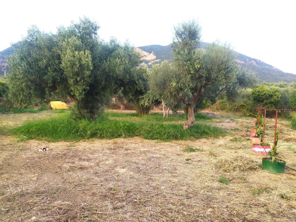 ΚΤΙΖΕΙ 400 Τ.Μ.