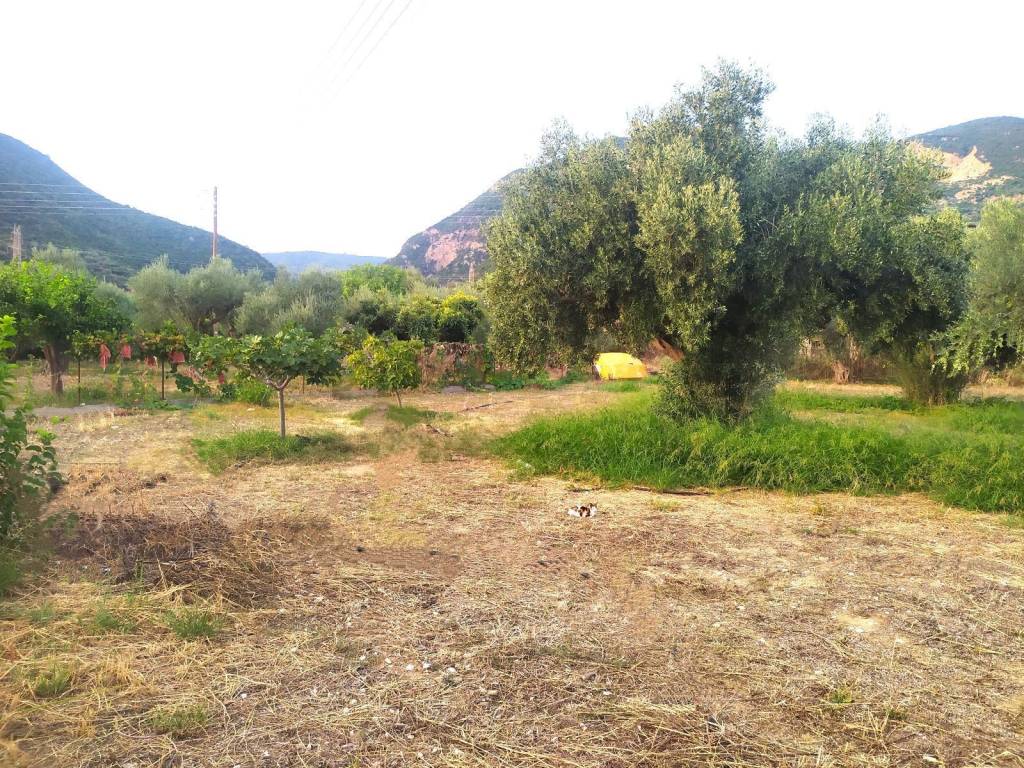 ΜΕ ΘΕΑ ΣΤΗ ΓΥΡΩ ΠΕΡΙΟΧΗ