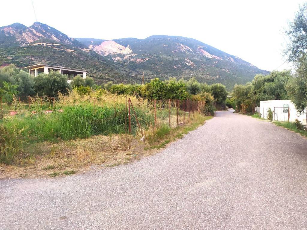 ΣΕ ΗΣΥΧΗ ΓΕΙΤΟΝΙΑ