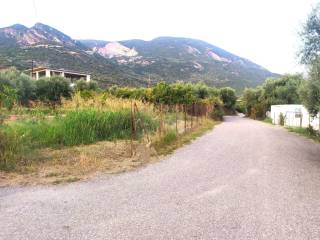 ΣΕ ΗΣΥΧΗ ΓΕΙΤΟΝΙΑ