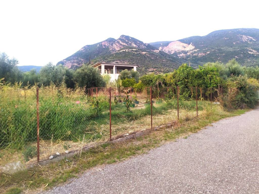 ΕΝΤΟΣ ΟΙΚΙΣΜΟΥ