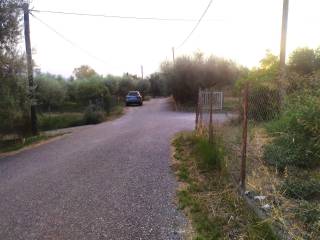 Ο ΚΕΝΤΡΙΚΟΣ ΔΡΟΜΟΣ ΜΠΡΟΣΤΑ ΣΤΟ ΟΙΚΟΠΕΔΟ