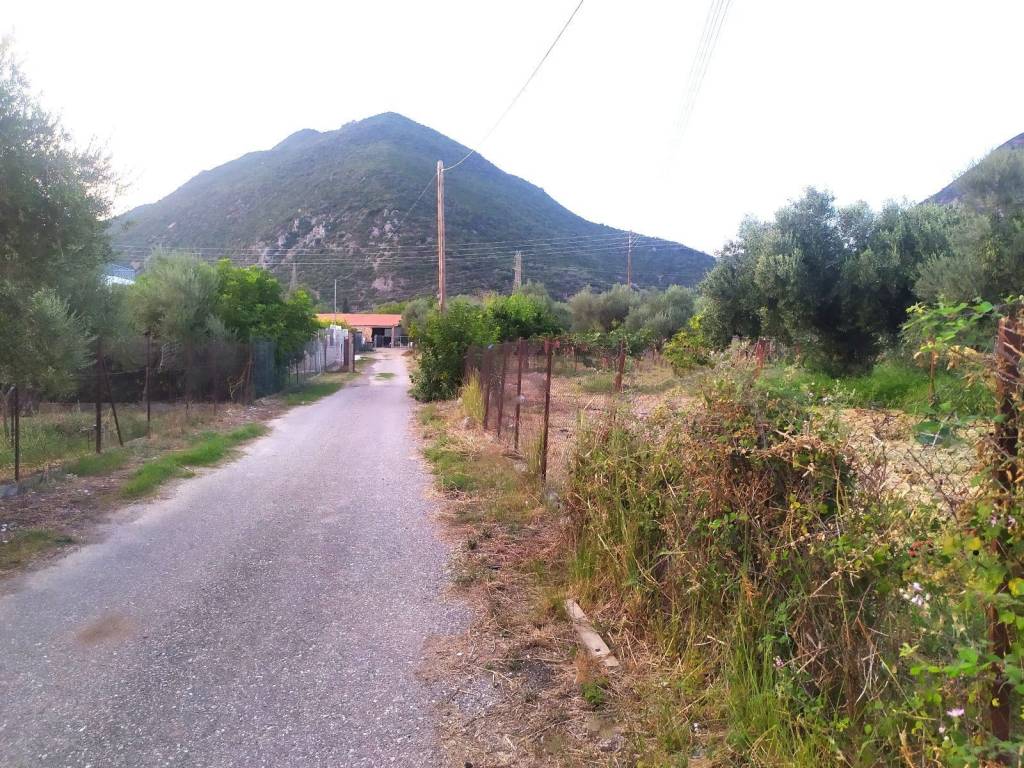 Ο 2ος ΔΡΟΜΟΣ ΟΔΗΓΕΙ ΣΤΟ ΛΙΜΑΝΙ ΤΟΥ ΟΙΚΙΣΜΟΥ