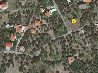 ΤΟ ΟΙΚΟΠΕΔΟ