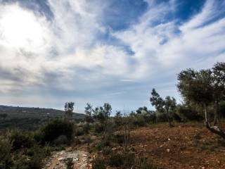 Αγροτεμάχιο | 18398τ.μ. | 39000 €