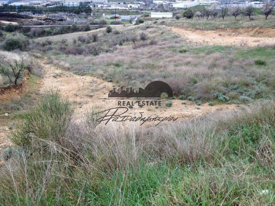 Θέση Οικοπέδου