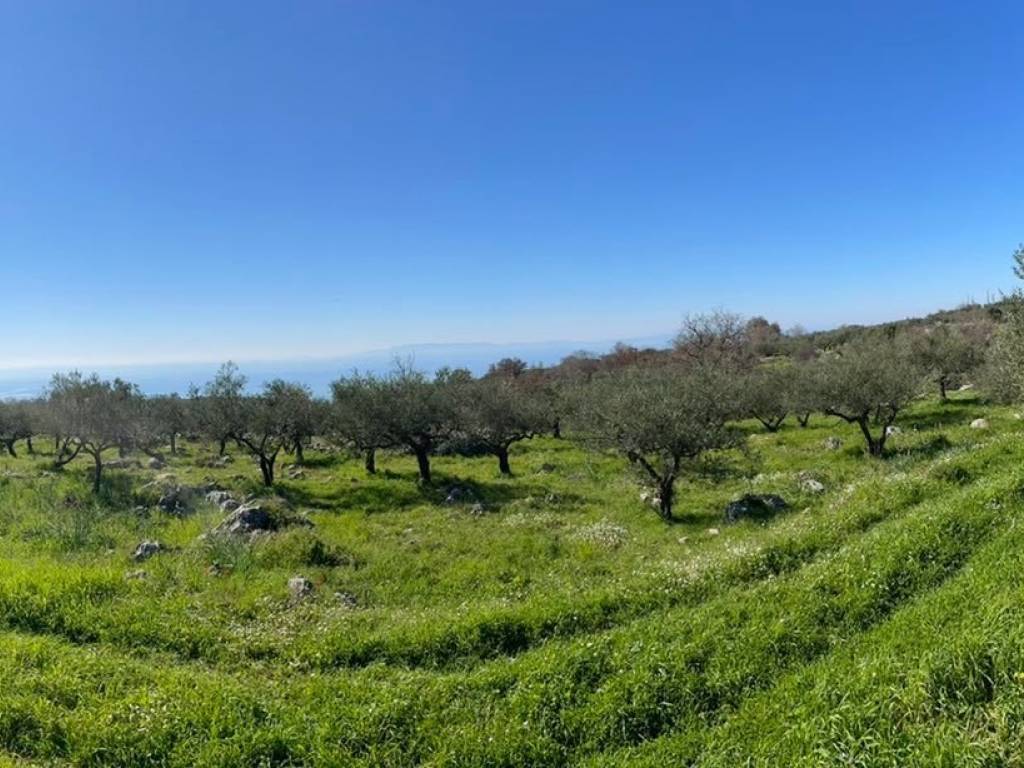 Brisketai molis ena chiliometro apo to chorio Pyrgos.