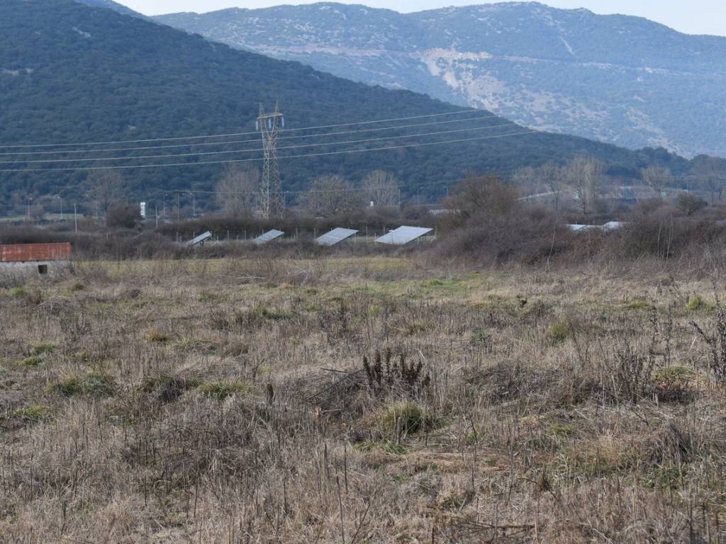 ΑΠΟΨΗ ΑΓΡΟΤΕΜΑΧΙΟΥ