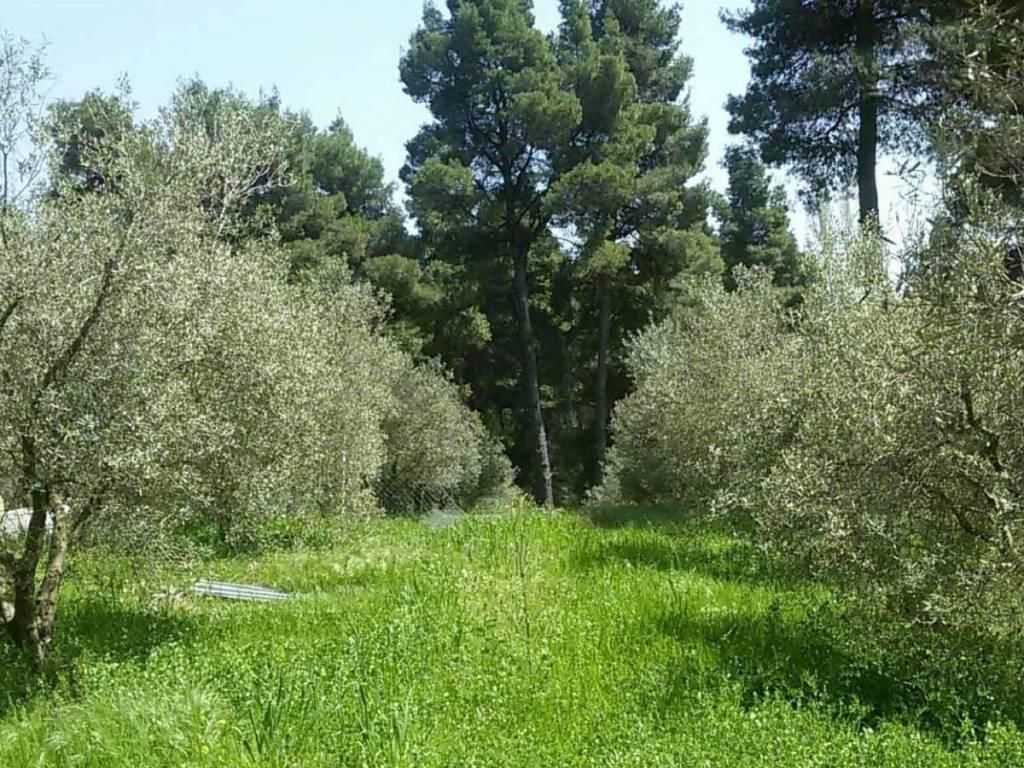 ΤΗΛΕΦΩΝΟ ΕΠΙΚΟΙΝΩΝΙΑΣ : 2310765495 // 6987494959  ΚΑΡΑΟΥΛΑΝΗ