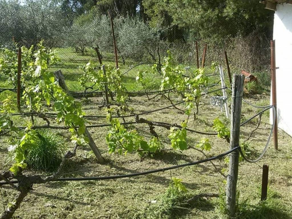 ΤΗΛΕΦΩΝΟ ΕΠΙΚΟΙΝΩΝΙΑΣ : 2310765495 // 6987494959  ΚΑΡΑΟΥΛΑΝΗ