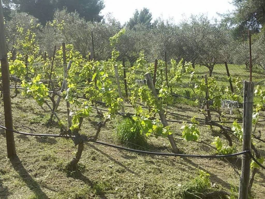 ΤΗΛΕΦΩΝΟ ΕΠΙΚΟΙΝΩΝΙΑΣ : 2310765495 // 6987494959  ΚΑΡΑΟΥΛΑΝΗ