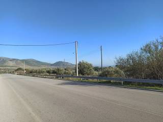 PROSOPSE 100 m. EPI TES EPARCHIAKES ODOY MEGARON-ALEPOCHORIOY