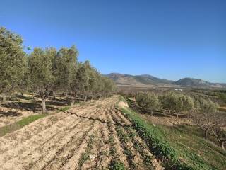 TMEMA TOY AGROTEMACHIOY