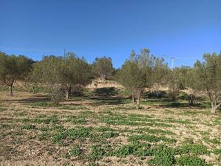 TMEMA TOY AGROTEMACHIOY