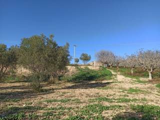 TMEMA TOY AGROTEMACHIOY