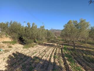 TMEMA TOY AGROTEMACHIOY