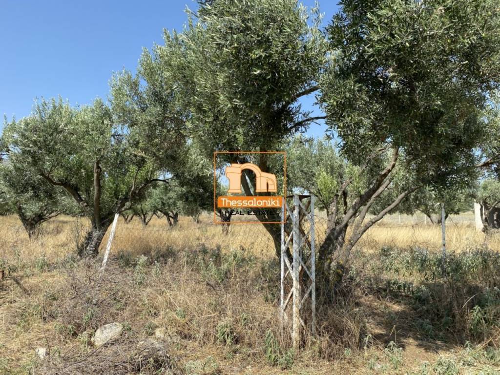 Παλαιόκαστρο, Αγροτεμάχιο, 1.000 τ.μ.