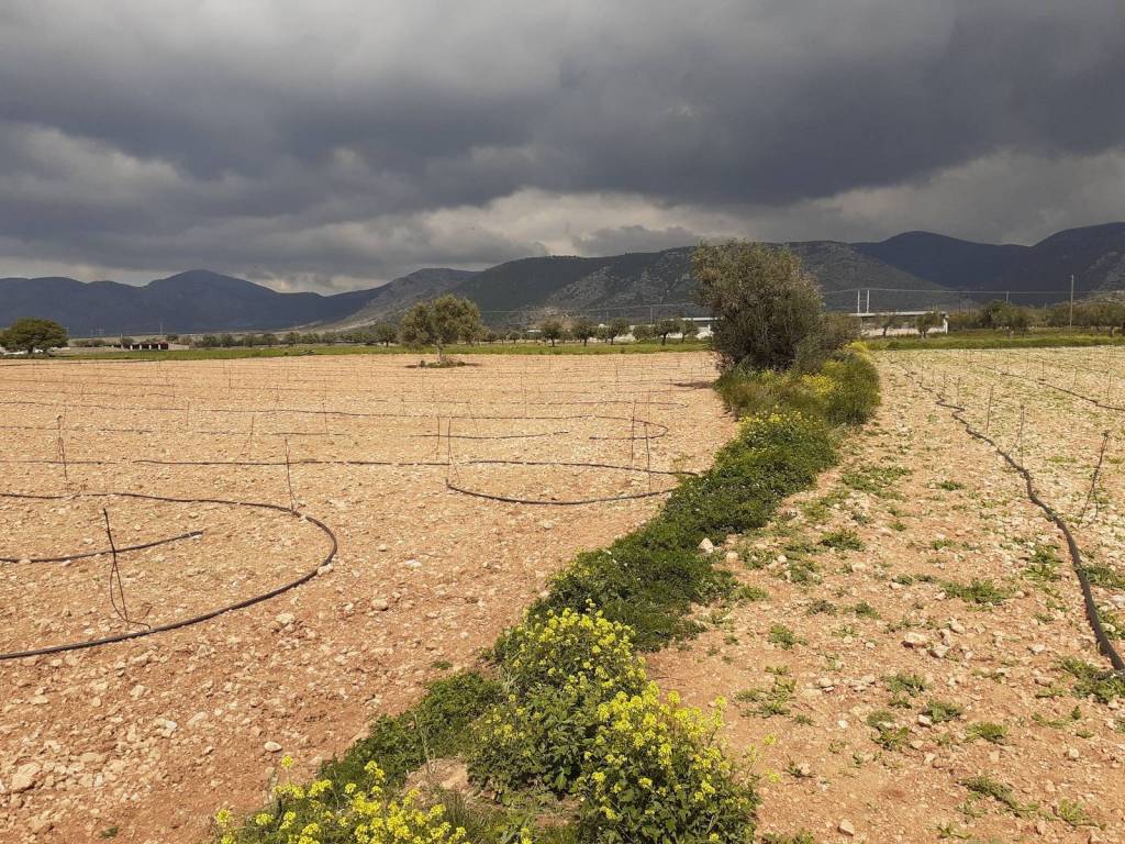 ΚΤΗΜΑ