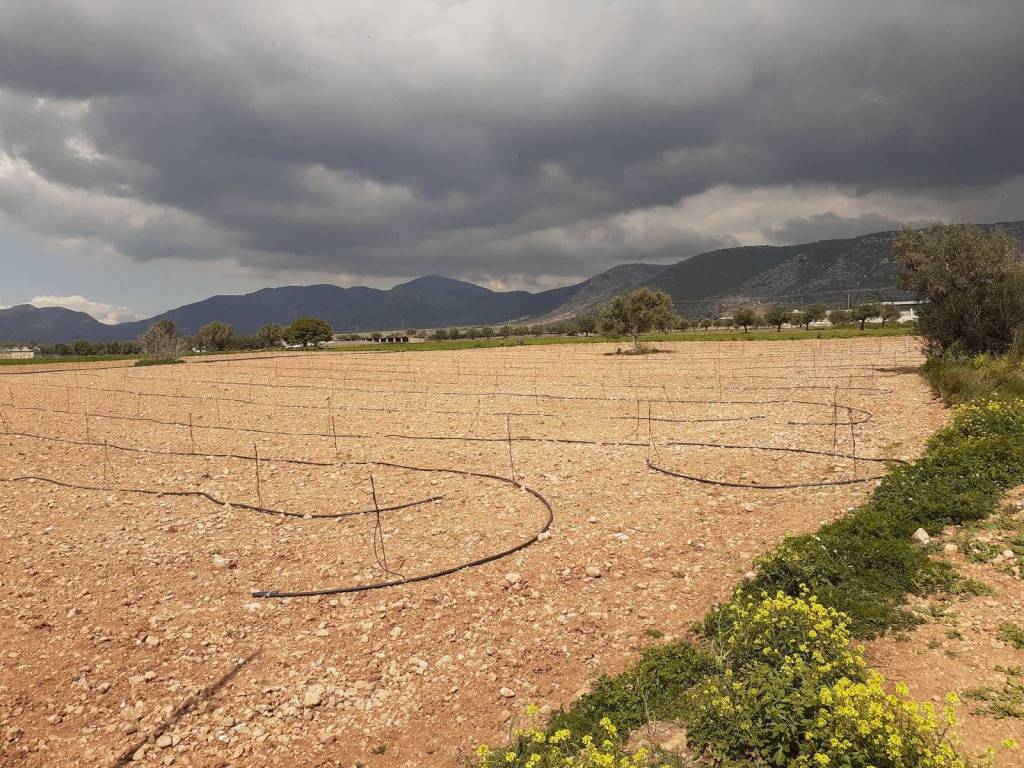 ΚΤΗΜΑ