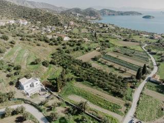 The plot faces the sea to the top of the hill size 20500sqm