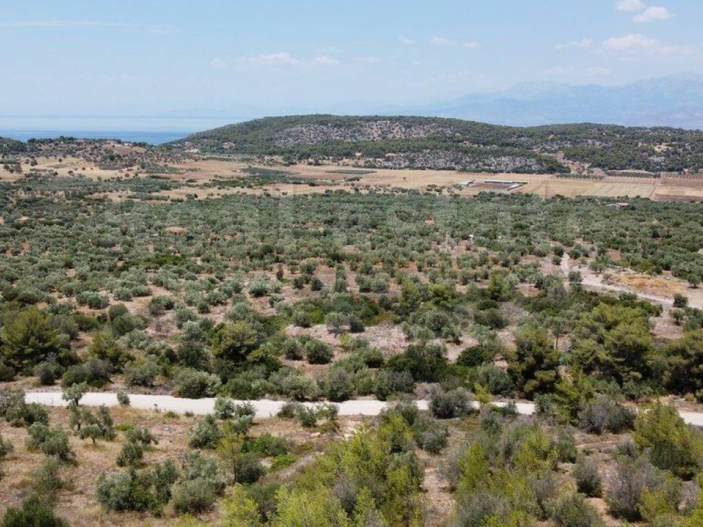 Αγροτεμάχιο με θέα θάλασσα