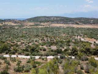 Αγροτεμάχιο με θέα θάλασσα