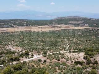 Αγροτεμάχιο με θέα θάλασσα