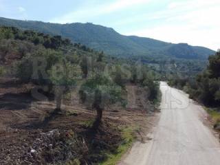 Αγροτεμάχιο πρόσοψη σε δρόμο