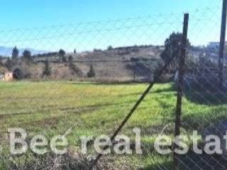 Άποψη εξωτερικού χώρου