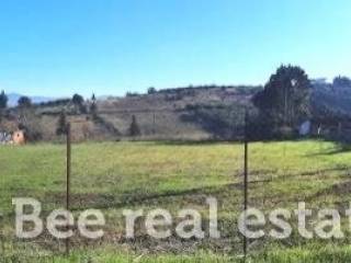 Άποψη εξωτερικού χώρου