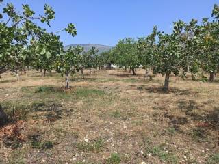 ΤΜΗΜΑ ΤΟΥ ΑΓΡΟΤΕΜΑΧΙΟΥ