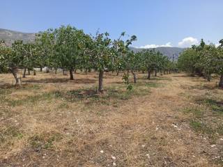 ΤΜΗΜΑ ΤΟΥ ΑΓΡΟΤΕΜΑΧΙΟΥ