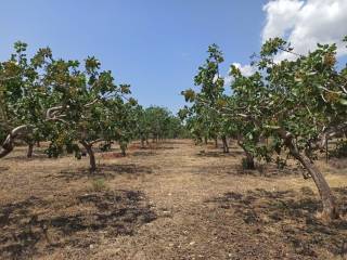 ΤΜΗΜΑ ΤΟΥ ΑΓΡΟΤΕΜΑΧΙΟΥ