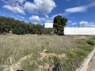 Forumland Real Estate, Οικόπεδο