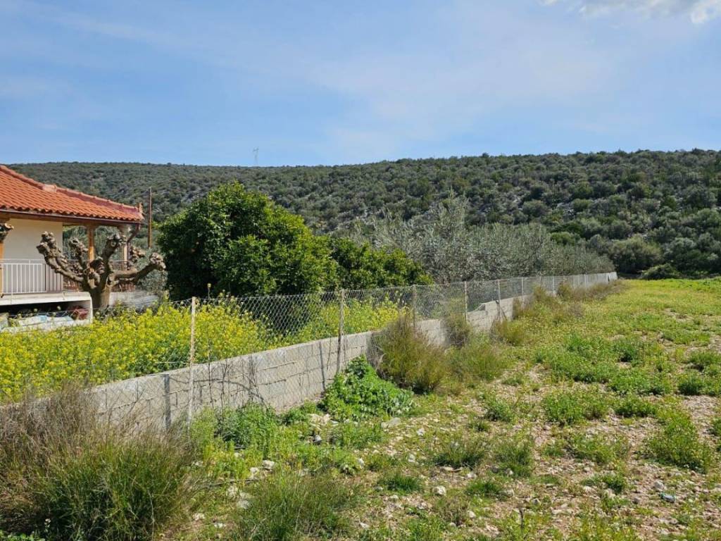 Newly built elevated detached house on a plot of 2,300 sq.m.