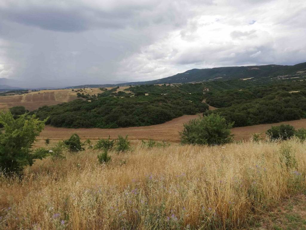 Θέα από το οικόπεδο 2