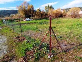 ΠΡΟΣΟΨΗ-ΔΡΟΜΟΣ